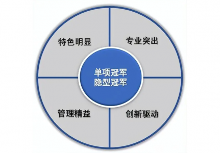 招商路检：怎样创建世界一流专业领军示范企业