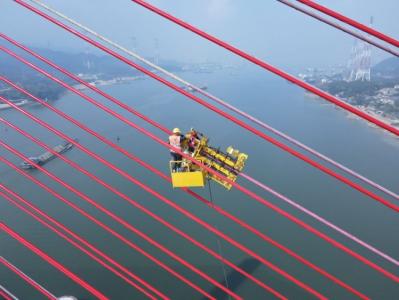 广东崖门大桥试验索更换及斜拉索PE护套维修项目顺利通过竣工验收 